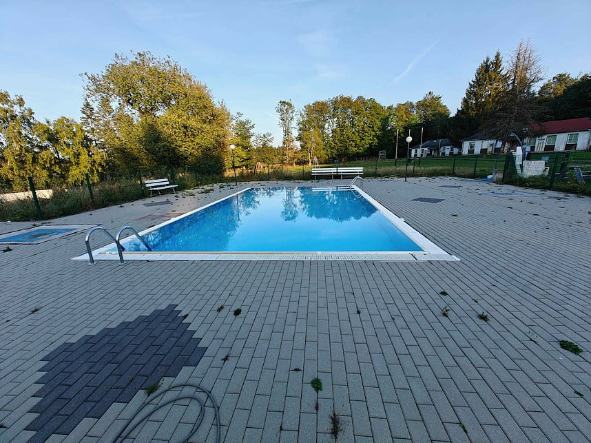 Peter Blei beim Waldspaziergang