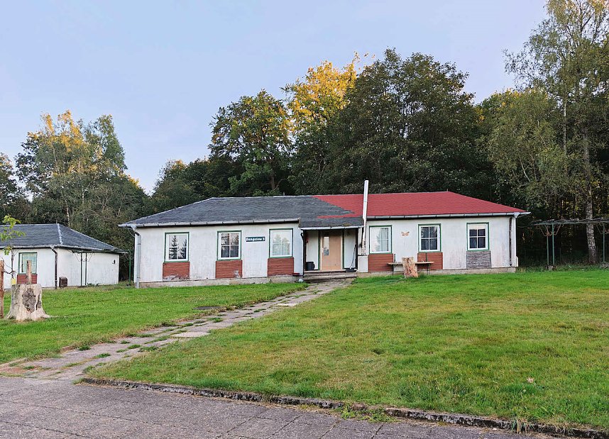 Peter Blei beim Waldspaziergang