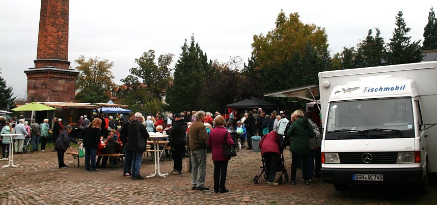 Bauernmarkt in Kelbra