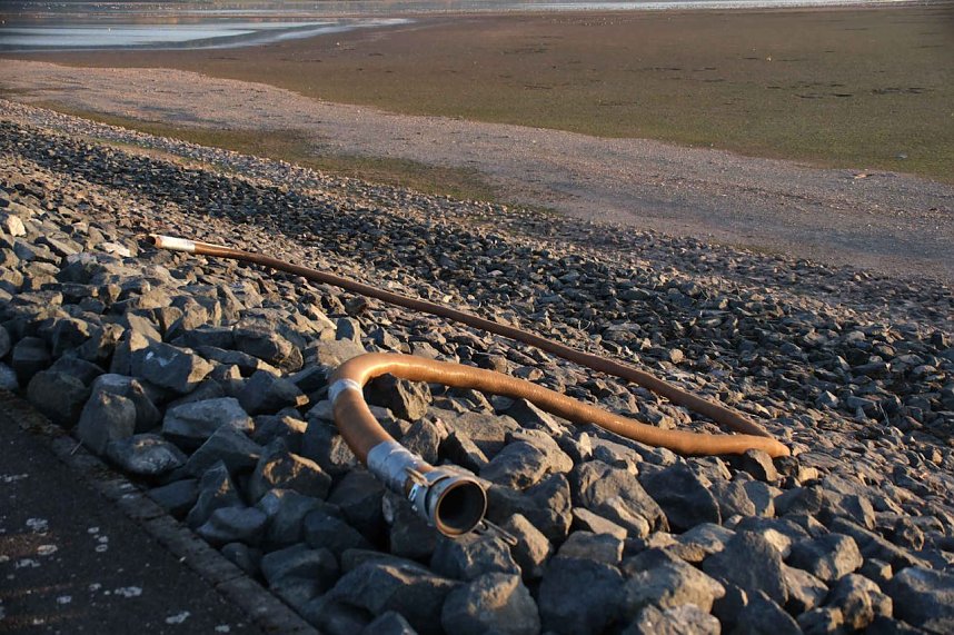 Vogelparadies am Stausee Kelbra