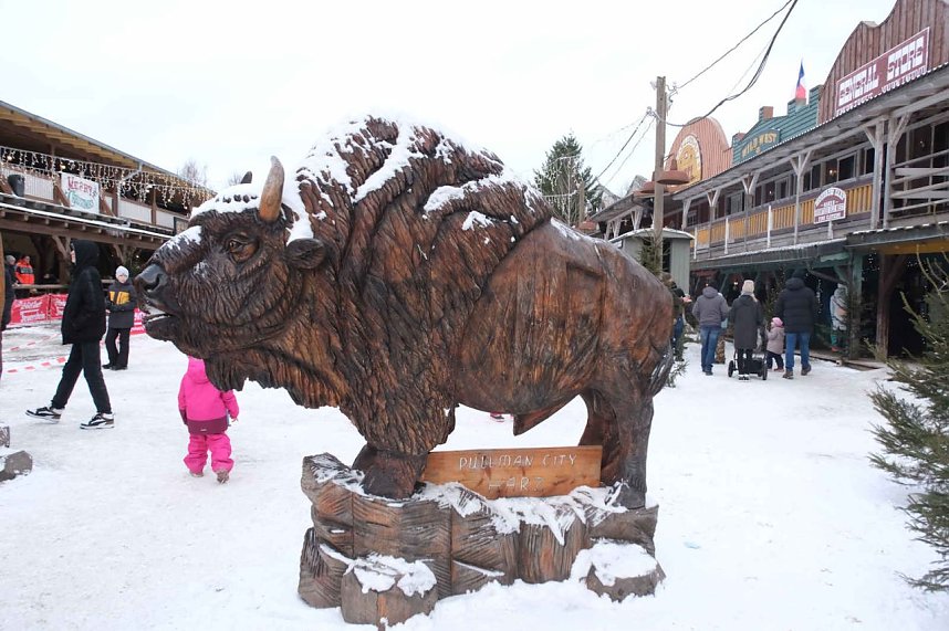 Hundeschlittenrennen im Harz