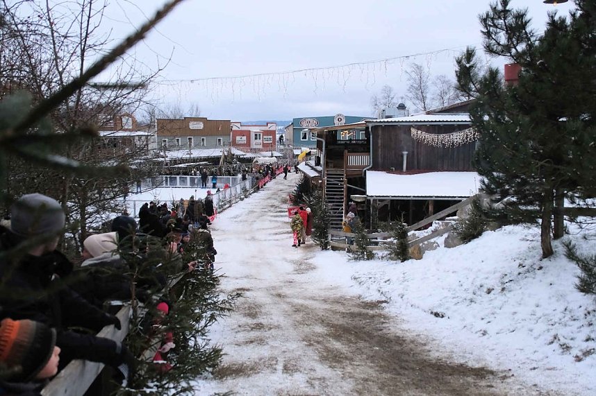 Hundeschlittenrennen im Harz