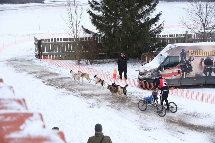 Hundeschlittenrennen im Harz