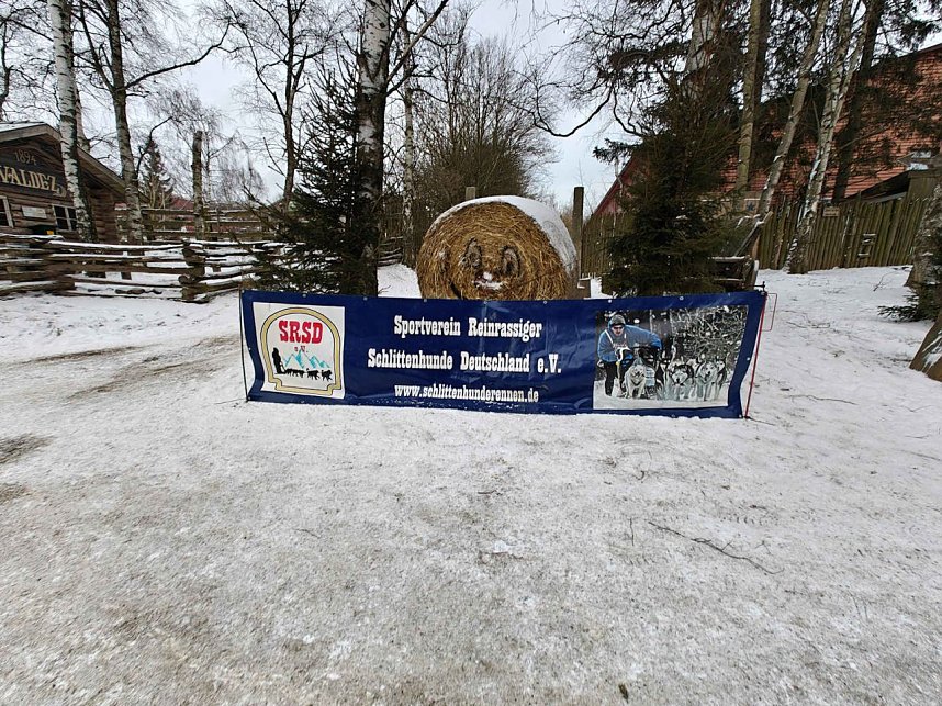 Hundeschlittenrennen im Harz