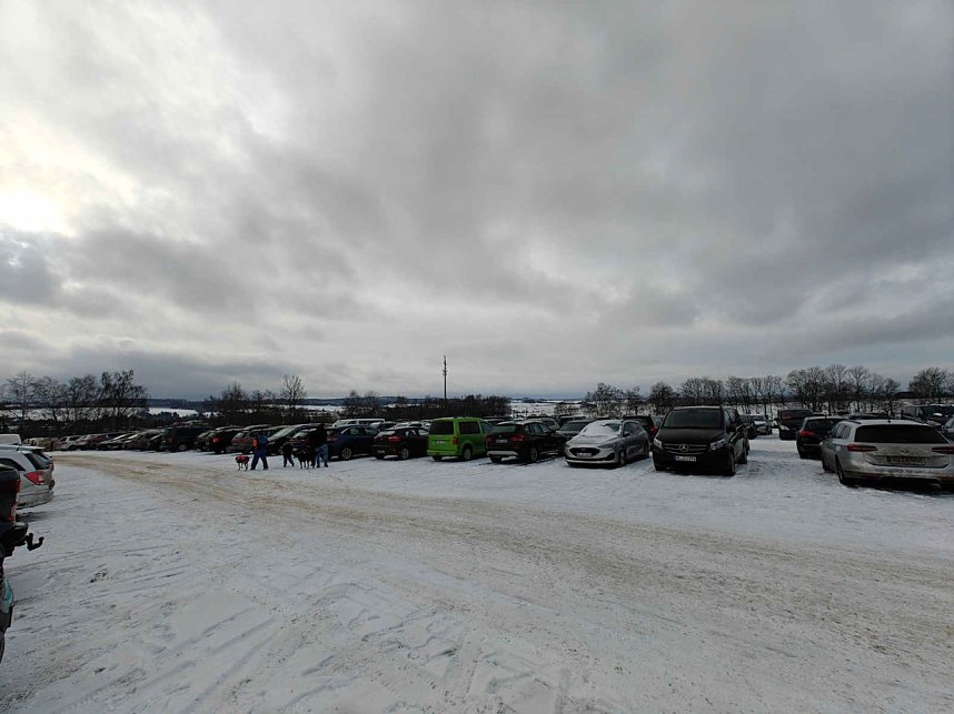 Hundeschlittenrennen im Harz