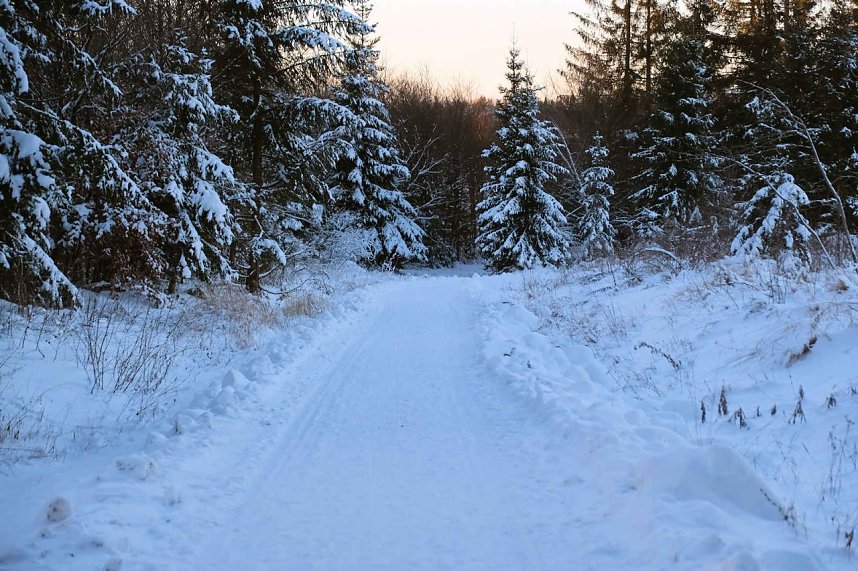 Winterlicher Harzausflug mit Kamera