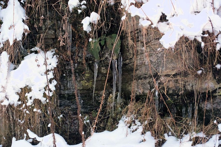 Winterlicher Harzausflug mit Kamera
