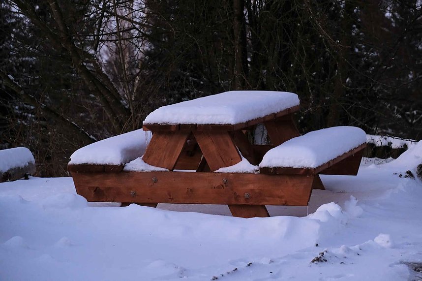 Winterlicher Harzausflug mit Kamera