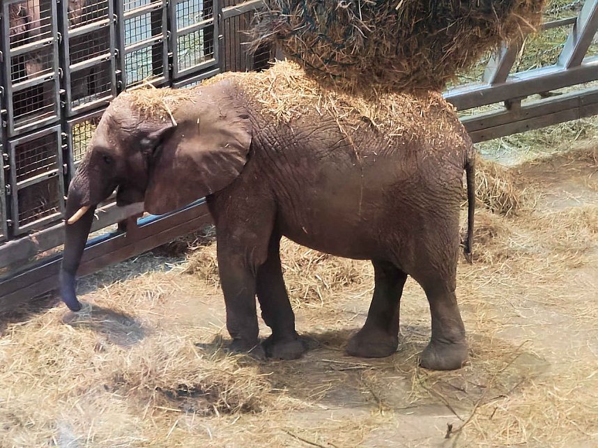 Magische Lichterwelten in Halle