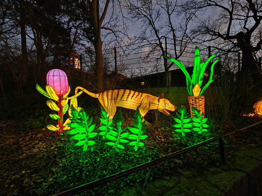 Magische Lichterwelten in Halle