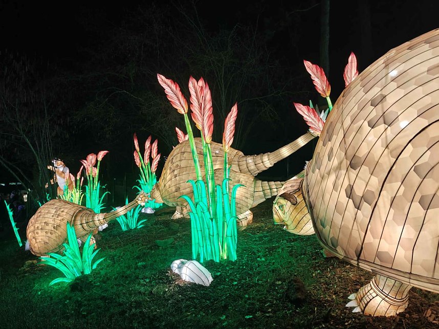 Magische Lichterwelten in Halle