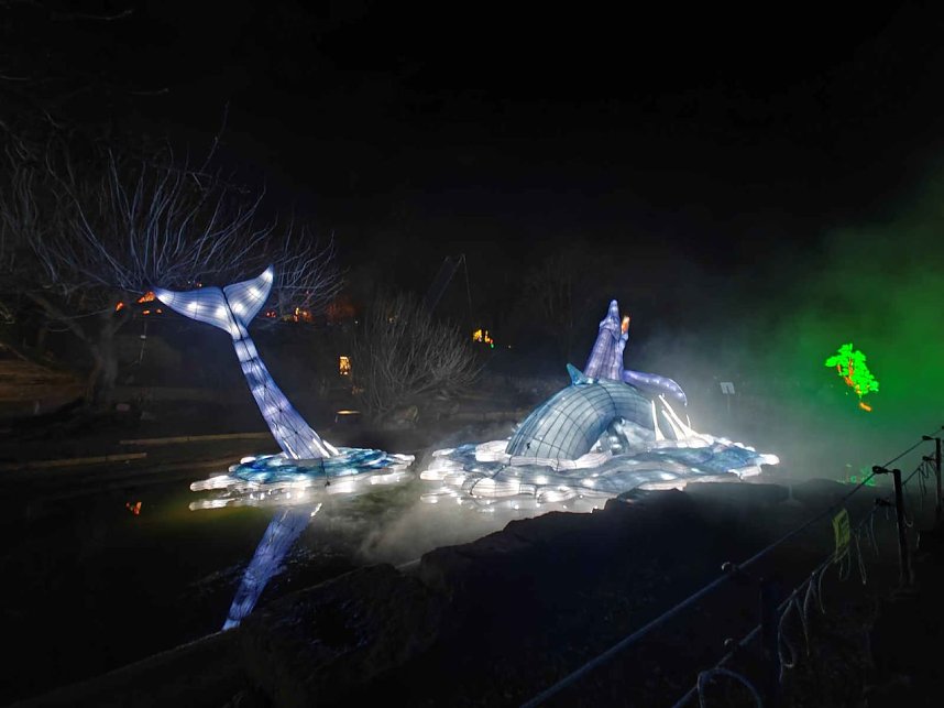 Magische Lichterwelten in Halle