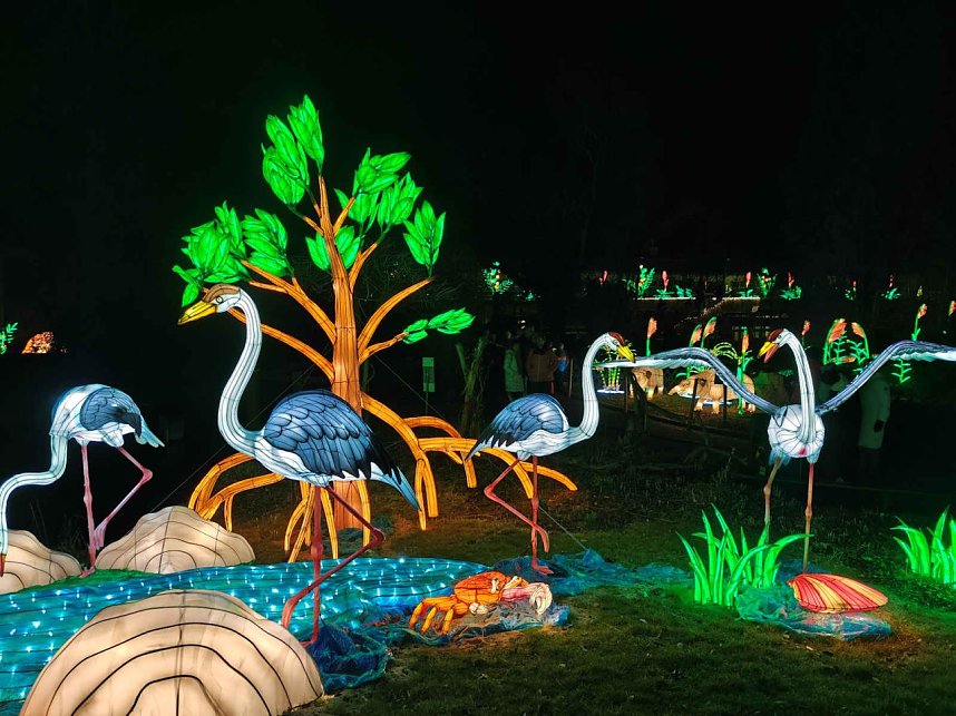 Magische Lichterwelten in Halle