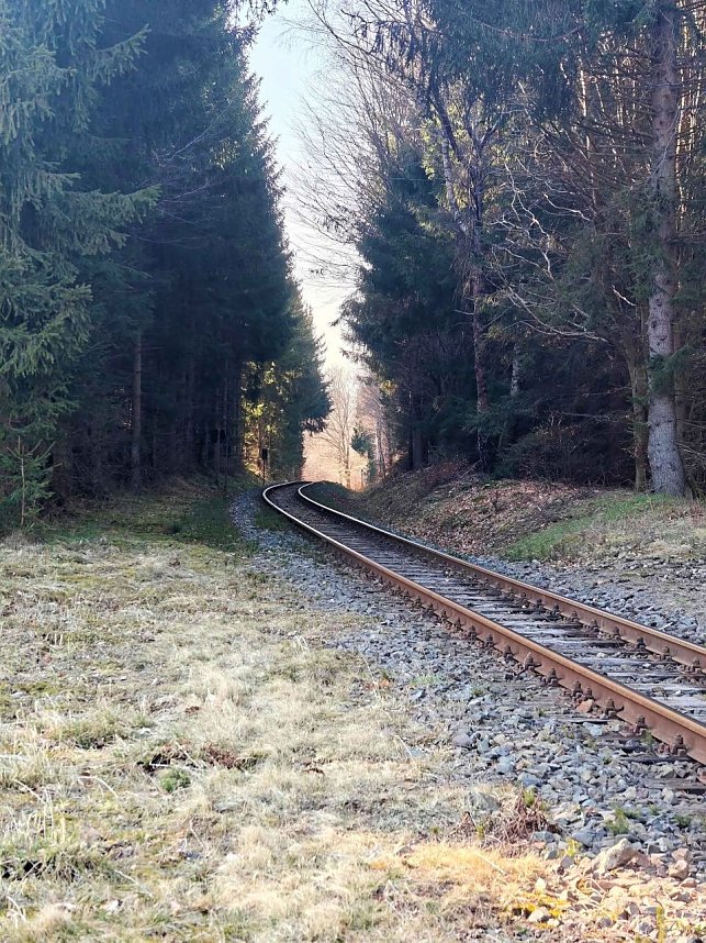 Peter Blei im Harz unterwegs