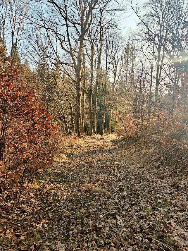Peter Blei im Harz unterwegs