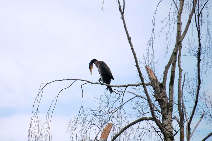 Peter Blei unterwegs in Stiege