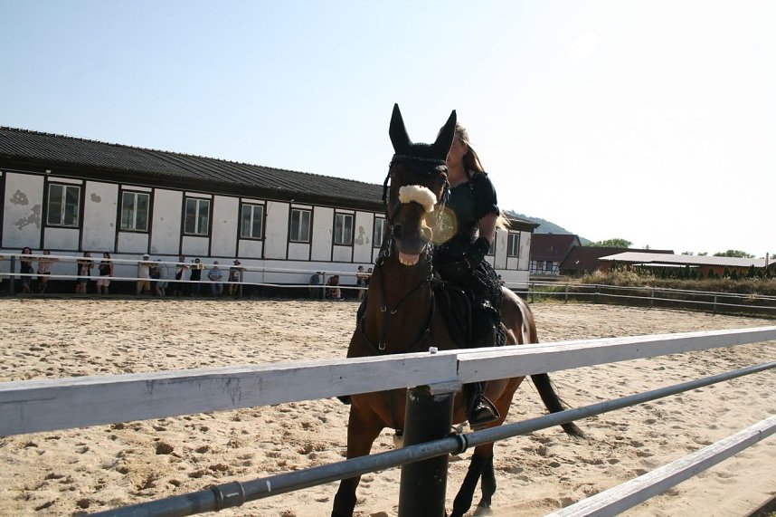 Landparty Sittendorf 