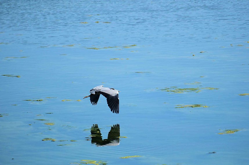 Peter Blei unterwegs am Stausee Kelbra 