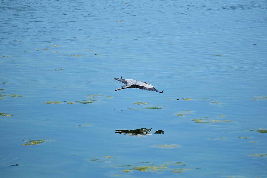 Peter Blei unterwegs am Stausee Kelbra 