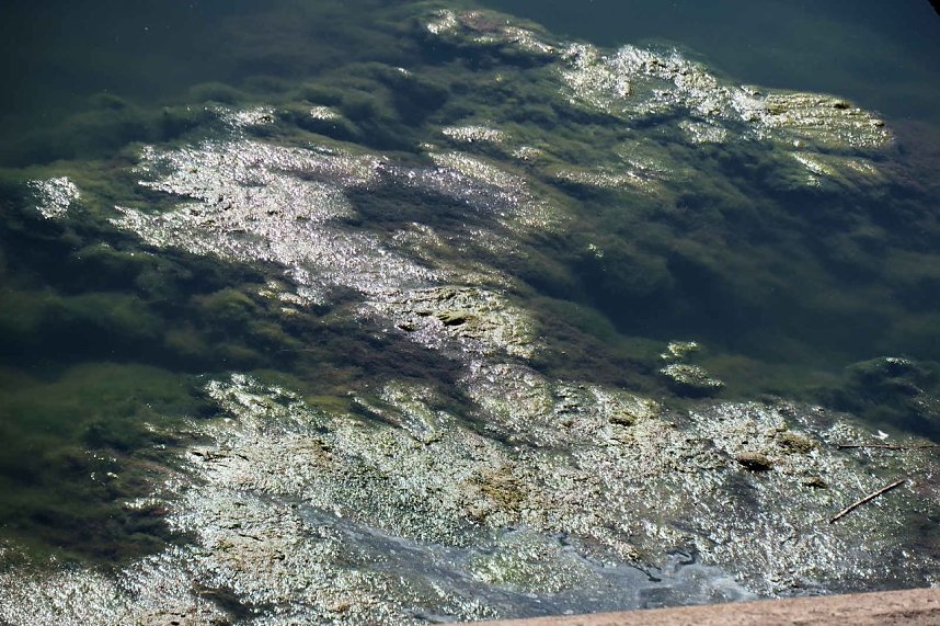 Peter Blei unterwegs am Stausee Kelbra 