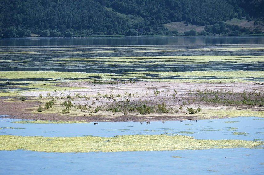 Peter Blei unterwegs am Stausee Kelbra 