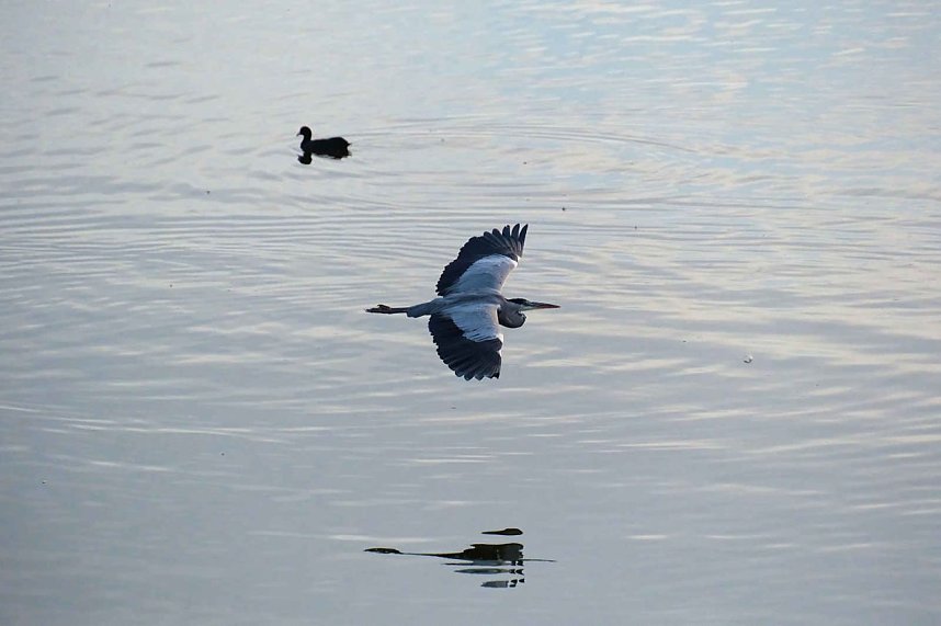 Peter Blei unterwegs am Stausee Kelbra