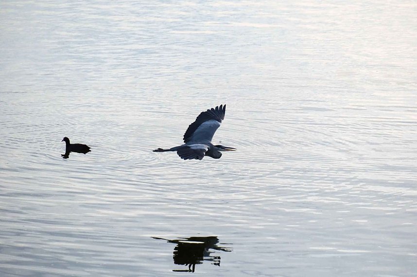 Peter Blei unterwegs am Stausee Kelbra