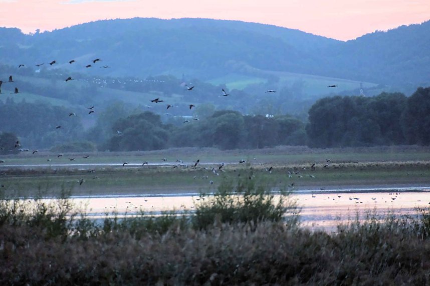 Peter Blei unterwegs am Stausee Kelbra