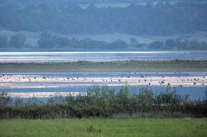 Peter Blei unterwegs am Stausee Kelbra