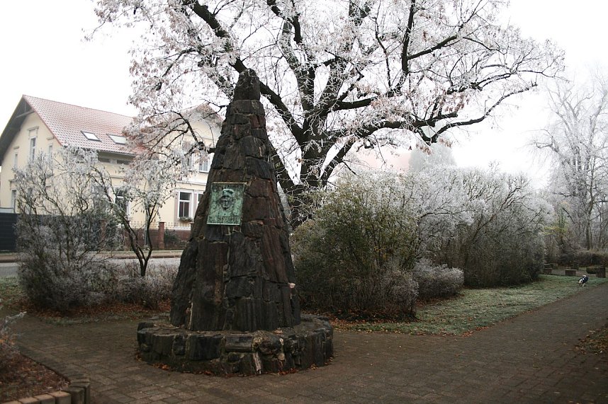 Winterlandschaft bei Kelbra