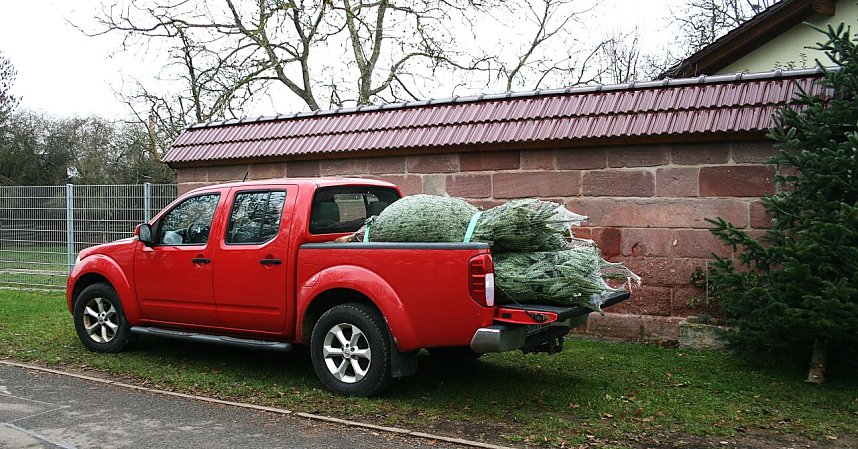 Weihnachtsbaumverkauf in Kelbra