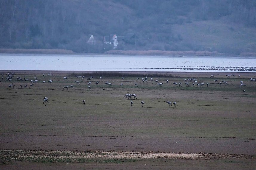 Peter Blei am Stausee Kelbra