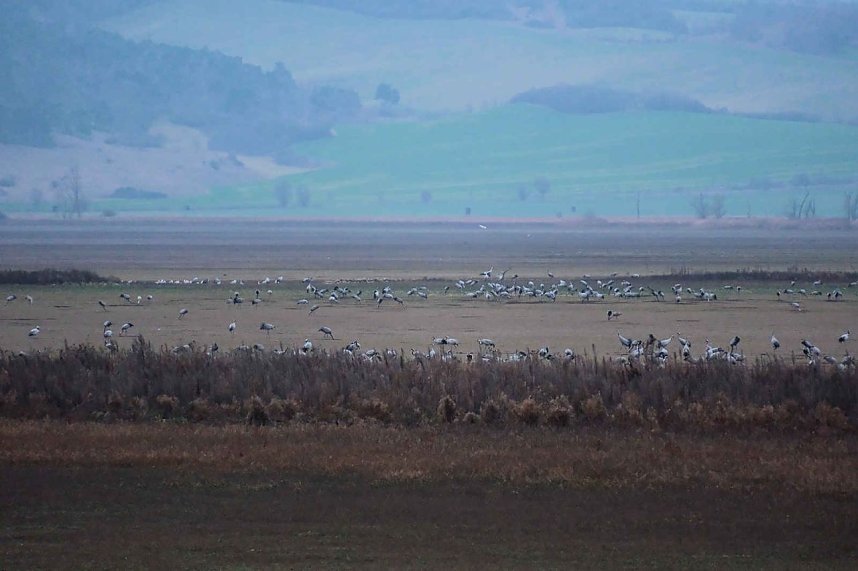 Peter Blei am Stausee Kelbra