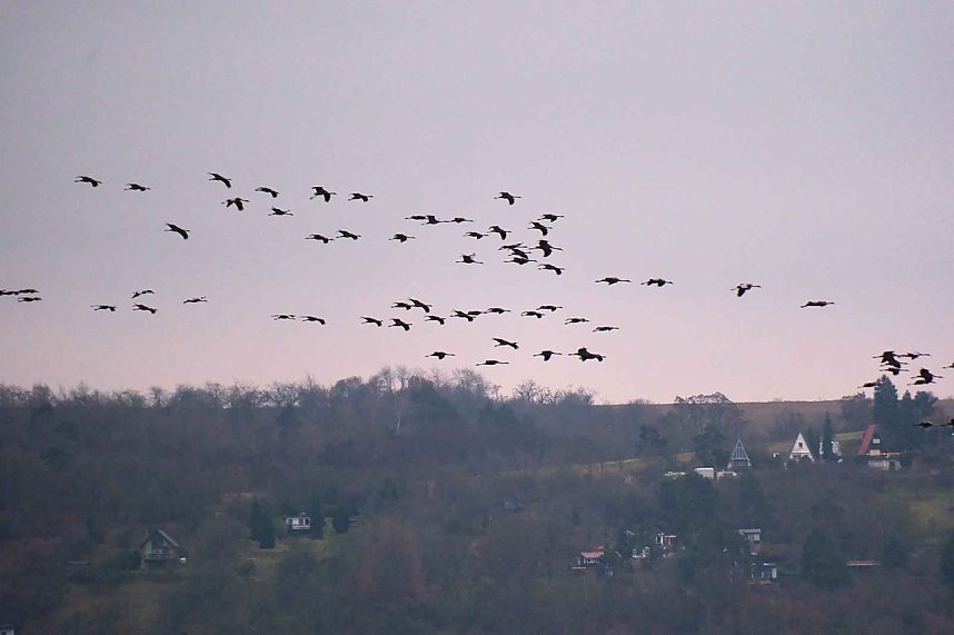 Peter Blei am Stausee Kelbra