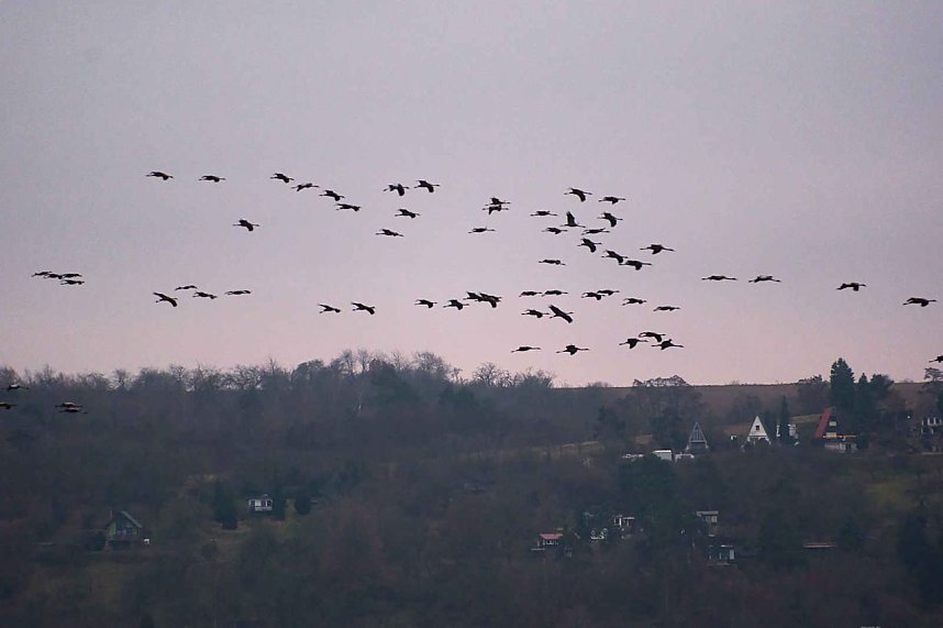 Peter Blei am Stausee Kelbra