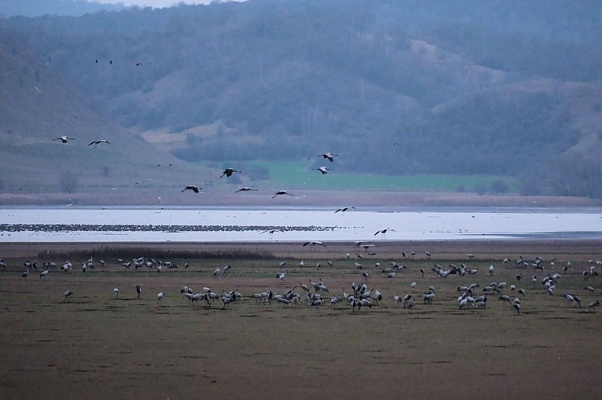 Peter Blei am Stausee Kelbra