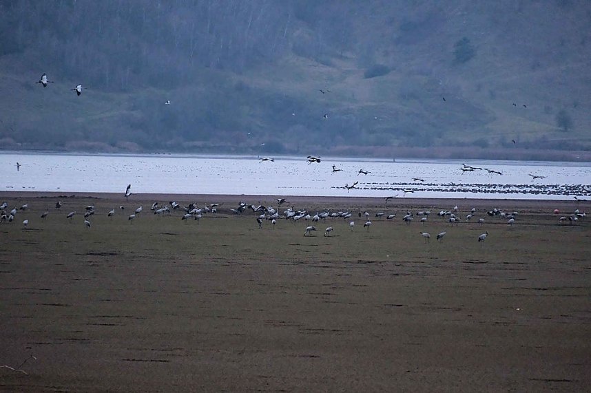 Peter Blei am Stausee Kelbra