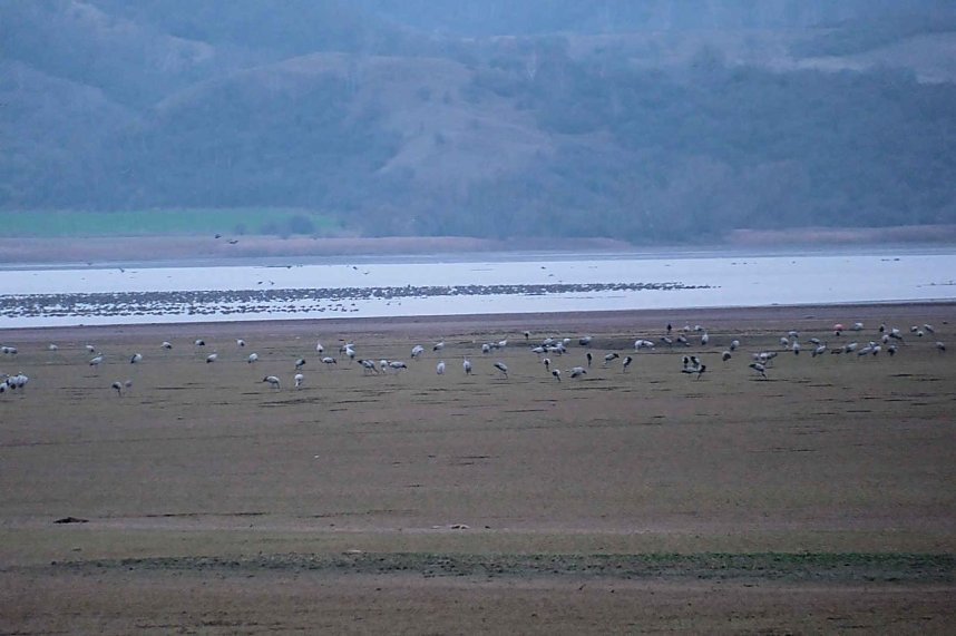 Peter Blei am Stausee Kelbra