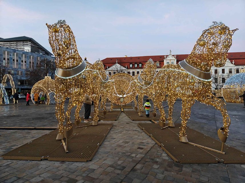 Peter Blei unterwegs in Magdeburg