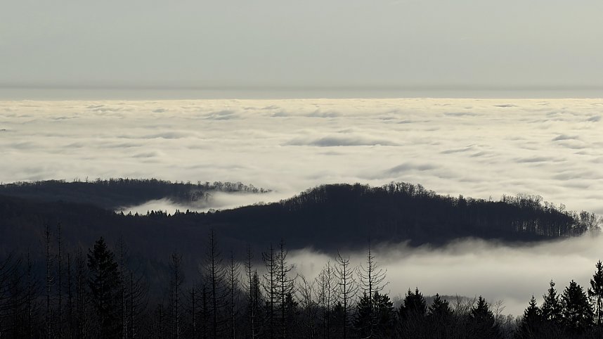 Blick &uuml;ber den Harz vom Poppenturm