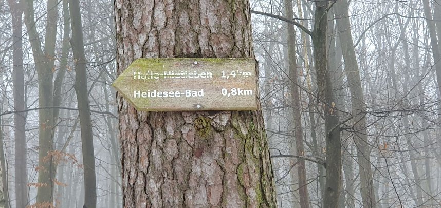 Die Wanderer erreichten den S-Bahnhof in Halle-Neustadt.