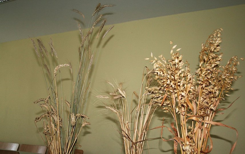 Tag der offenen T&uuml;r im Gymnasium in Kelbra. 