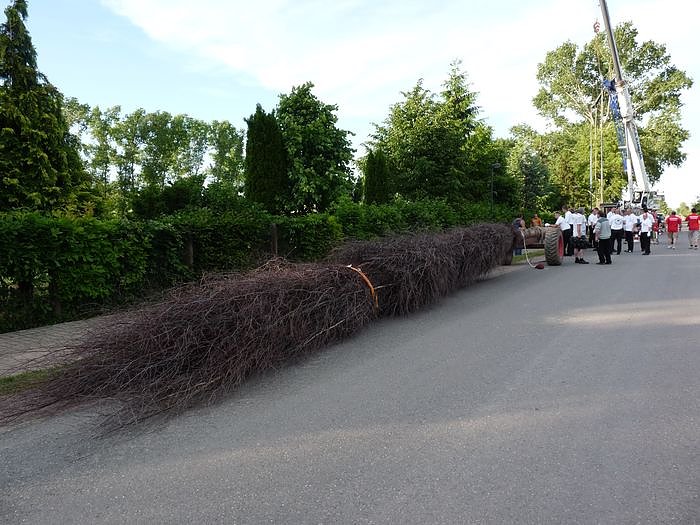 Gr&ouml;&szlig;ter Besen der Welt