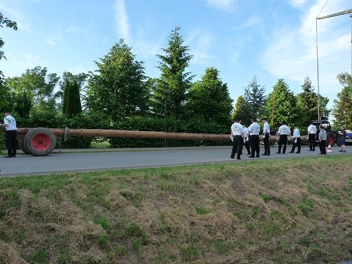 Gr&ouml;&szlig;ter Besen der Welt