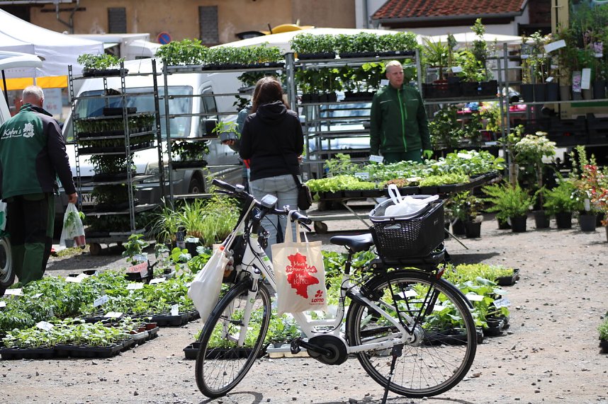 Zum zweiten Mal in diesem Jahr hatte die Gemeinde Kelbra zum Bauernmarkt eingeladen.
