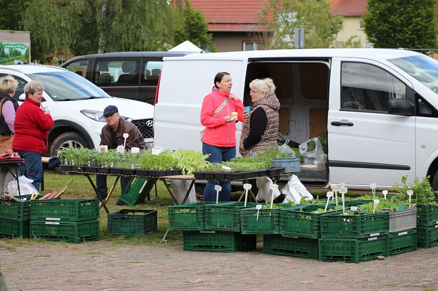 Zum zweiten Mal in diesem Jahr hatte die Gemeinde Kelbra zum Bauernmarkt eingeladen.