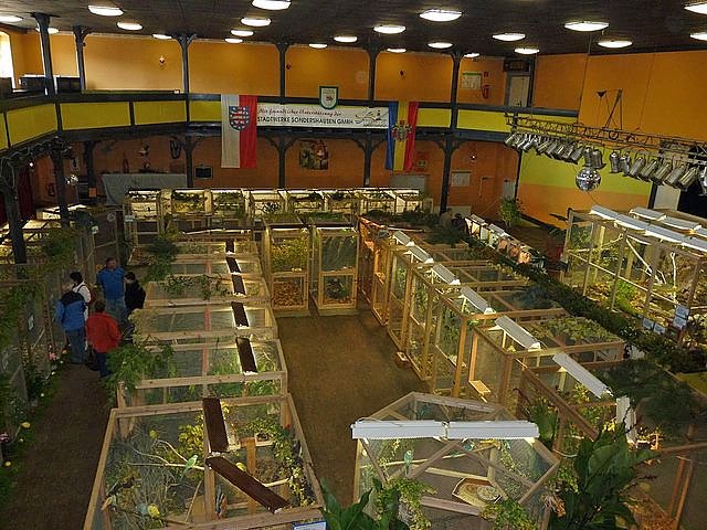 Vogelausstellung in Sondershausen